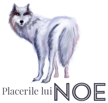 Placerile lui Noe - Logo