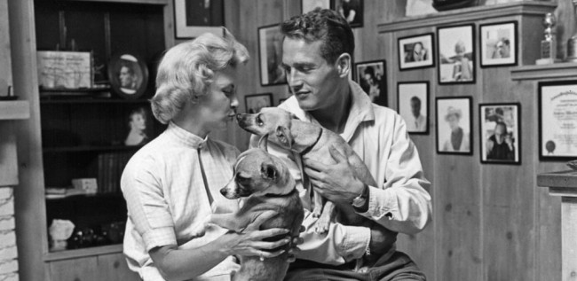 Paul Newman, Joanne Woodward si cei doi catei